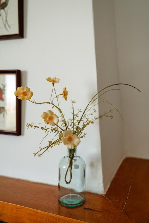 Casa Rural Balcon De Monachil Εξωτερικό φωτογραφία