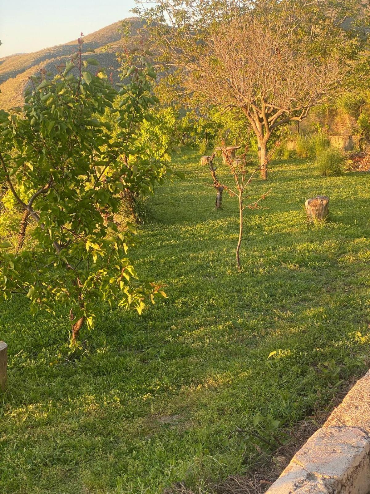 Casa Rural Balcon De Monachil Εξωτερικό φωτογραφία